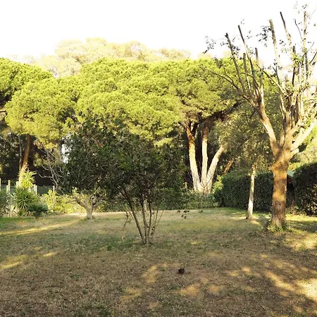 فيلة Verde-mare *